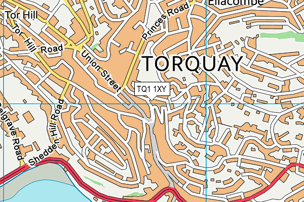 TQ1 1XY map - OS VectorMap District (Ordnance Survey)