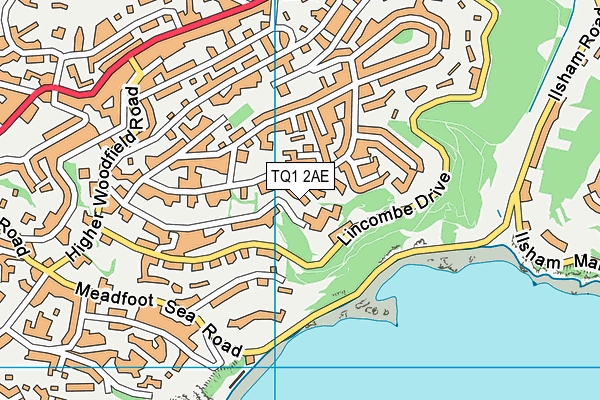 TQ1 2AE map - OS VectorMap District (Ordnance Survey)