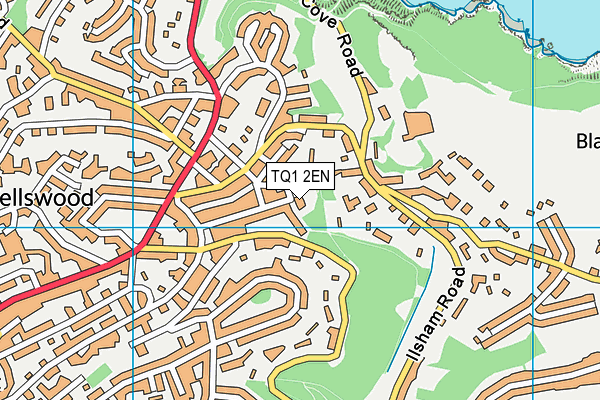 TQ1 2EN map - OS VectorMap District (Ordnance Survey)