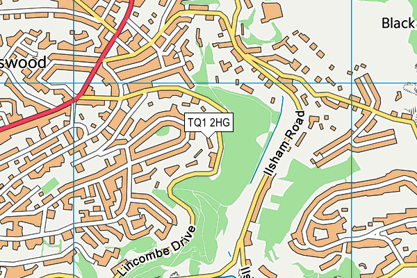 TQ1 2HG map - OS VectorMap District (Ordnance Survey)