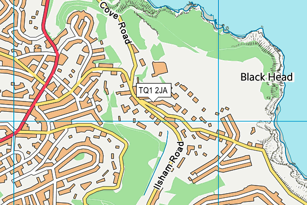 TQ1 2JA map - OS VectorMap District (Ordnance Survey)