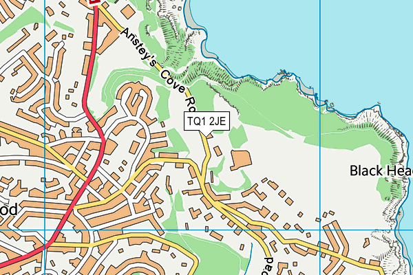 TQ1 2JE map - OS VectorMap District (Ordnance Survey)