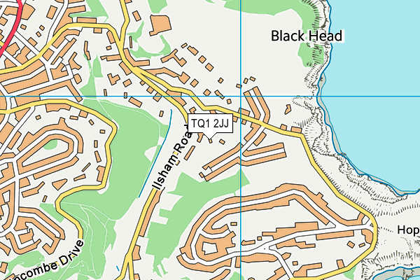 TQ1 2JJ map - OS VectorMap District (Ordnance Survey)