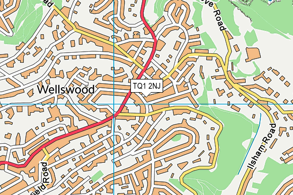 TQ1 2NJ map - OS VectorMap District (Ordnance Survey)