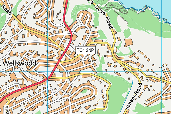 TQ1 2NP map - OS VectorMap District (Ordnance Survey)
