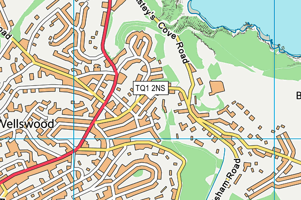 TQ1 2NS map - OS VectorMap District (Ordnance Survey)