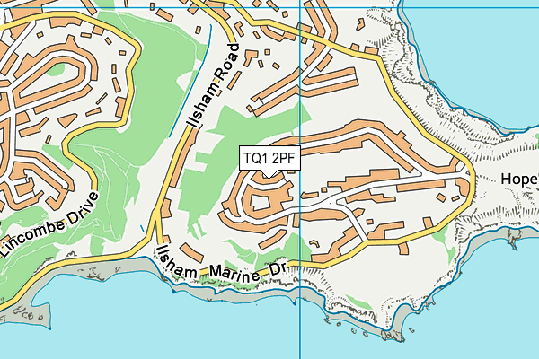 TQ1 2PF map - OS VectorMap District (Ordnance Survey)