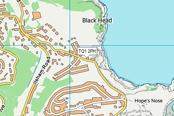 TQ1 2PH map - OS VectorMap District (Ordnance Survey)