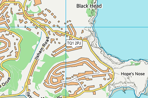 TQ1 2PJ map - OS VectorMap District (Ordnance Survey)