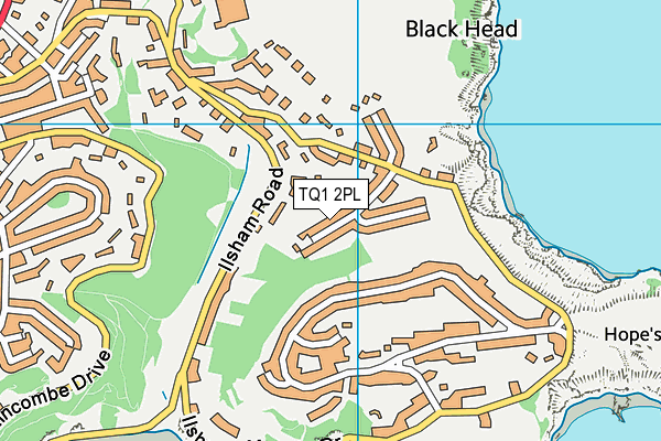 TQ1 2PL map - OS VectorMap District (Ordnance Survey)
