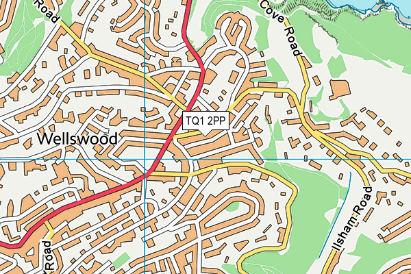 TQ1 2PP map - OS VectorMap District (Ordnance Survey)