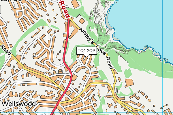 TQ1 2QP map - OS VectorMap District (Ordnance Survey)