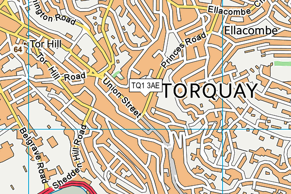 TQ1 3AE map - OS VectorMap District (Ordnance Survey)
