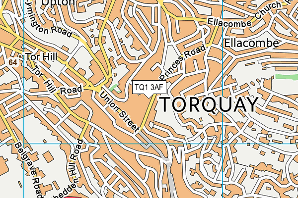 TQ1 3AF map - OS VectorMap District (Ordnance Survey)