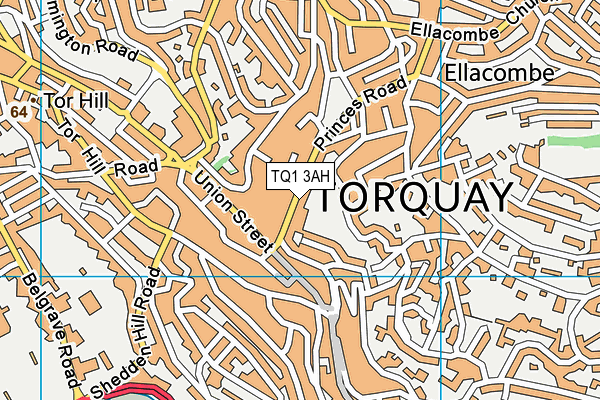 TQ1 3AH map - OS VectorMap District (Ordnance Survey)