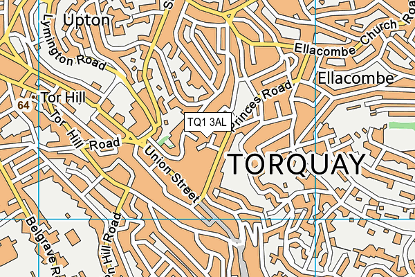 TQ1 3AL map - OS VectorMap District (Ordnance Survey)
