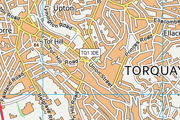 TQ1 3DE map - OS VectorMap District (Ordnance Survey)