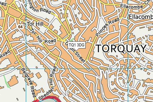 TQ1 3DG map - OS VectorMap District (Ordnance Survey)