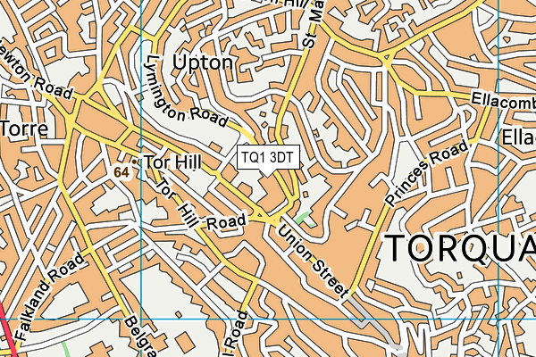 TQ1 3DT map - OS VectorMap District (Ordnance Survey)