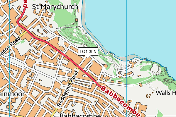 TQ1 3LN map - OS VectorMap District (Ordnance Survey)