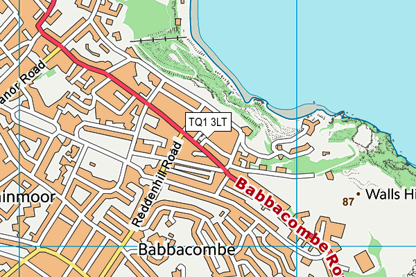 TQ1 3LT map - OS VectorMap District (Ordnance Survey)