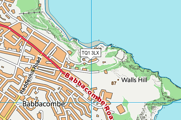 TQ1 3LX map - OS VectorMap District (Ordnance Survey)