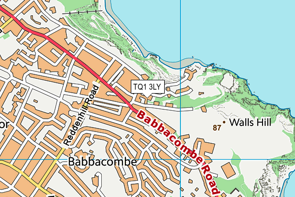 TQ1 3LY map - OS VectorMap District (Ordnance Survey)