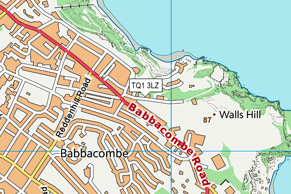 TQ1 3LZ map - OS VectorMap District (Ordnance Survey)