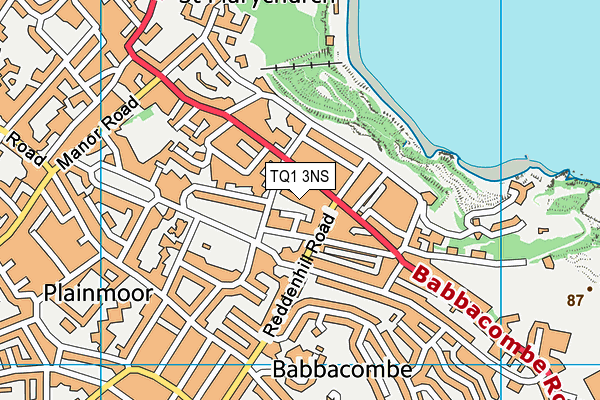 TQ1 3NS map - OS VectorMap District (Ordnance Survey)