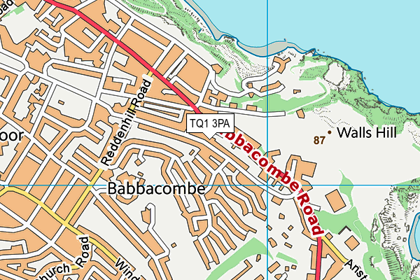 TQ1 3PA map - OS VectorMap District (Ordnance Survey)