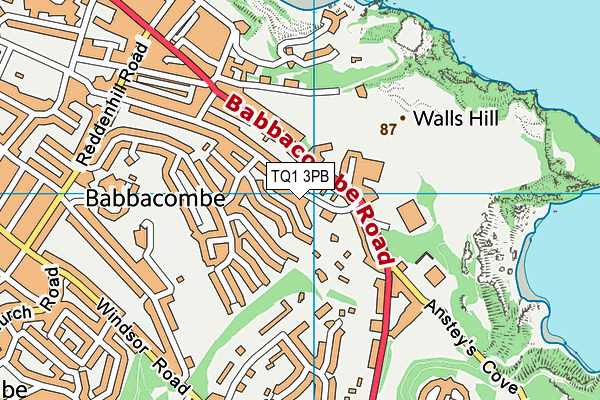 TQ1 3PB map - OS VectorMap District (Ordnance Survey)
