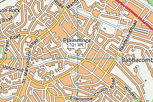 TQ1 3PE map - OS VectorMap District (Ordnance Survey)