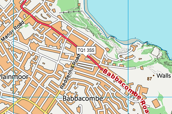 TQ1 3SS map - OS VectorMap District (Ordnance Survey)