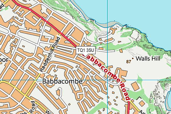 TQ1 3SU map - OS VectorMap District (Ordnance Survey)
