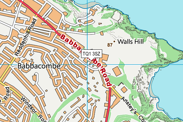 TQ1 3SZ map - OS VectorMap District (Ordnance Survey)