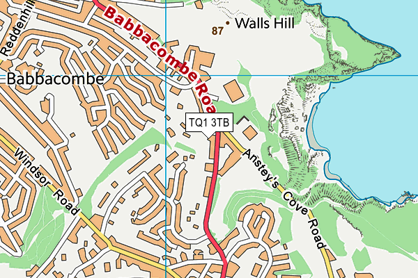 TQ1 3TB map - OS VectorMap District (Ordnance Survey)