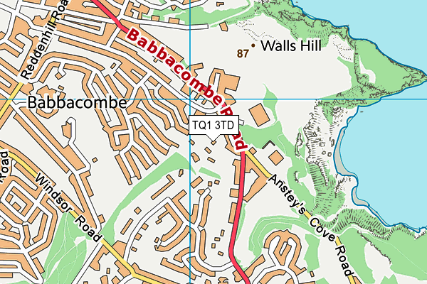 TQ1 3TD map - OS VectorMap District (Ordnance Survey)