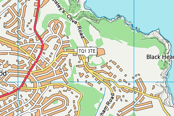 TQ1 3TE map - OS VectorMap District (Ordnance Survey)