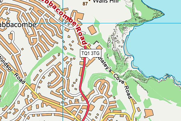 Palace Hotel (Closed) map (TQ1 3TG) - OS VectorMap District (Ordnance Survey)
