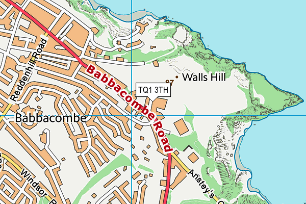 TQ1 3TH map - OS VectorMap District (Ordnance Survey)