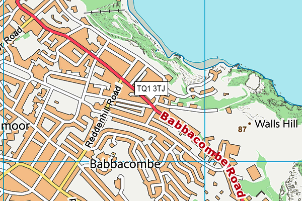 TQ1 3TJ map - OS VectorMap District (Ordnance Survey)