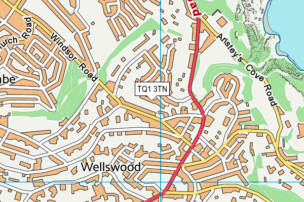 TQ1 3TN map - OS VectorMap District (Ordnance Survey)