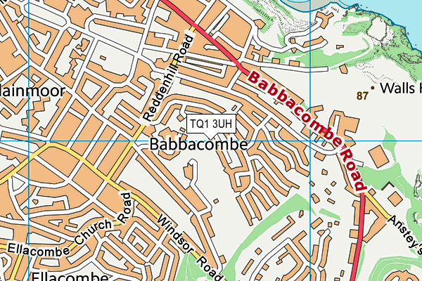 TQ1 3UH map - OS VectorMap District (Ordnance Survey)