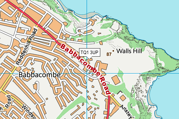 TQ1 3UP map - OS VectorMap District (Ordnance Survey)