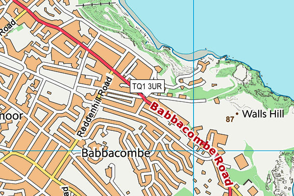 TQ1 3UR map - OS VectorMap District (Ordnance Survey)