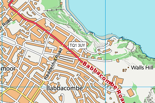 TQ1 3UY map - OS VectorMap District (Ordnance Survey)