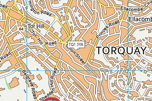 TQ1 3YA map - OS VectorMap District (Ordnance Survey)