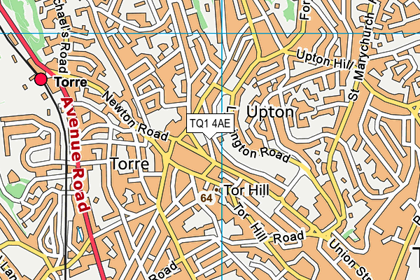 TQ1 4AE map - OS VectorMap District (Ordnance Survey)