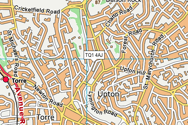 TQ1 4AJ map - OS VectorMap District (Ordnance Survey)