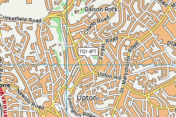 TQ1 4FT map - OS VectorMap District (Ordnance Survey)
